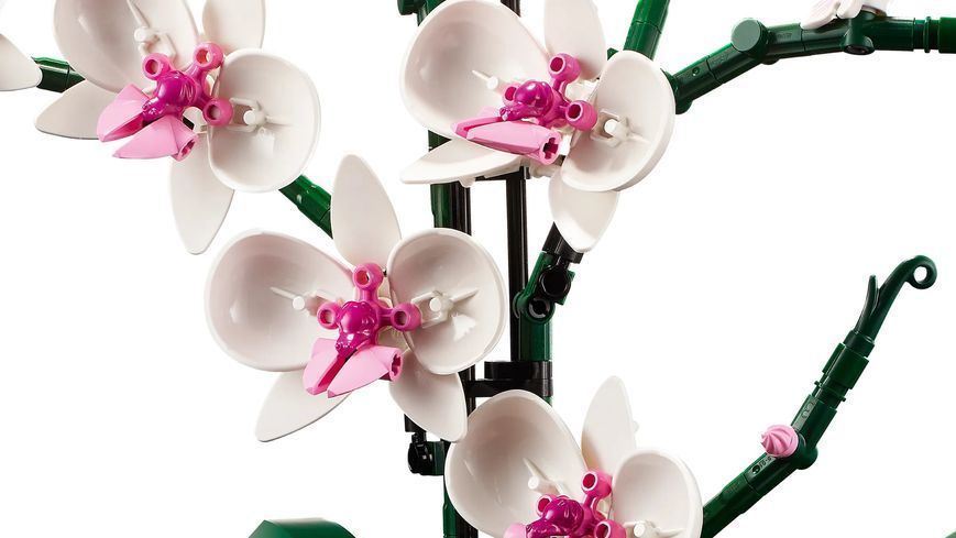 Конструктор LEGO Icons Botanicals Орхідея 10311- фото