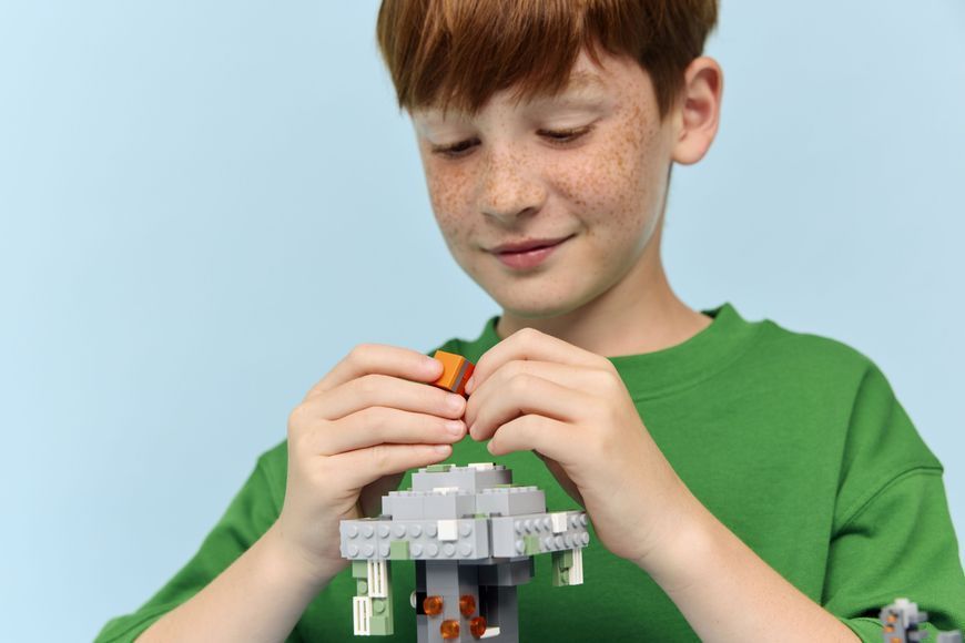 Конструктор LEGO Minecraft Блідий сад 21586 фото